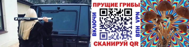 Псилоцибиновые грибы Psilocybine cubensis  где можно купить   мега ТОР  Павловская 